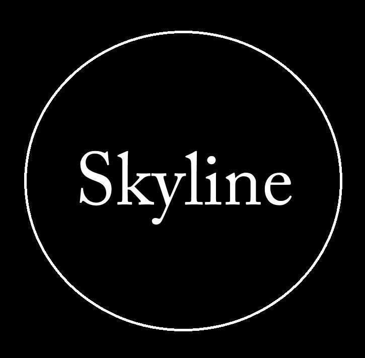 Сеть салонов красоты Skyline